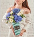 Aranjman Blue 1